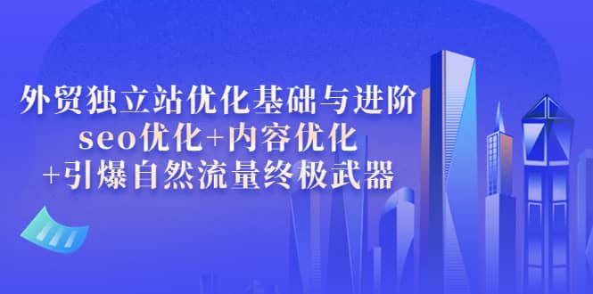 外贸独立站优化基础与进阶，seo优化+内容优化+引爆自然流量终极武器即刻搞钱-网创项目资源站-副业项目-创业项目-搞钱项目即刻搞钱