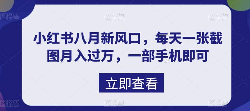 八月新风口，小红书虚拟项目一天收入1000+，实战揭秘即刻搞钱-网创项目资源站-副业项目-创业项目-搞钱项目即刻搞钱