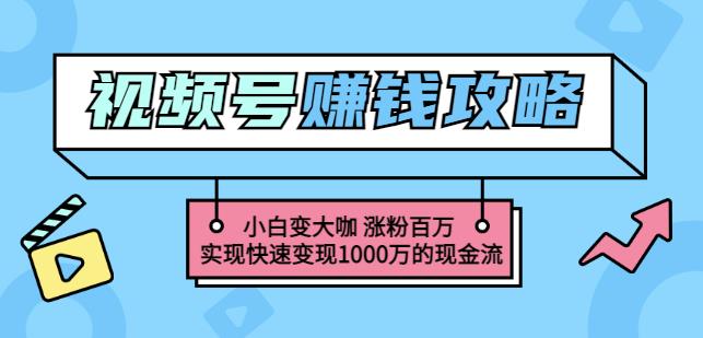 玩转微信视频号赚钱：小白变大咖涨粉百万实现快速变现1000万的现金流即刻搞钱-网创项目资源站-副业项目-创业项目-搞钱项目即刻搞钱