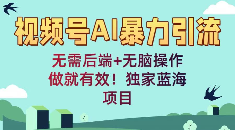 视频号AI暴力引流：无需后端+无脑操作，做就有效！独家蓝海项目即刻搞钱-网创项目资源站-副业项目-创业项目-搞钱项目即刻搞钱