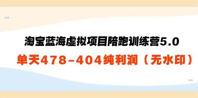 淘宝蓝海虚拟项目陪跑训练营5.0：单天478纯利润（无水印）即刻搞钱-网创项目资源站-副业项目-创业项目-搞钱项目即刻搞钱