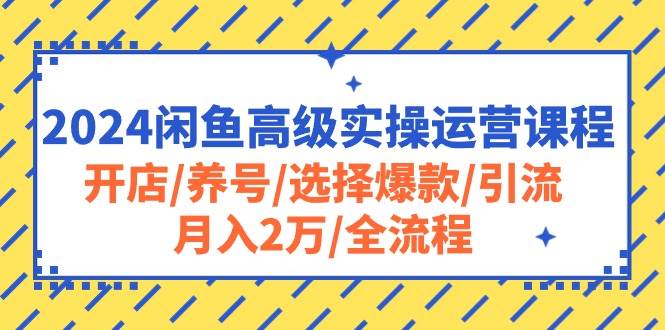 2024闲鱼高级实操运营课程：开店/养号/选择爆款/引流/月入2万/全流程即刻搞钱-网创项目资源站-副业项目-创业项目-搞钱项目即刻搞钱