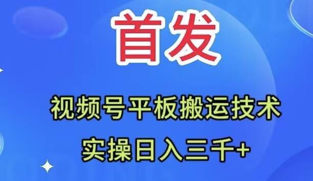 全网首发：视频号平板搬运技术，实操日入三千＋即刻搞钱-网创项目资源站-副业项目-创业项目-搞钱项目即刻搞钱