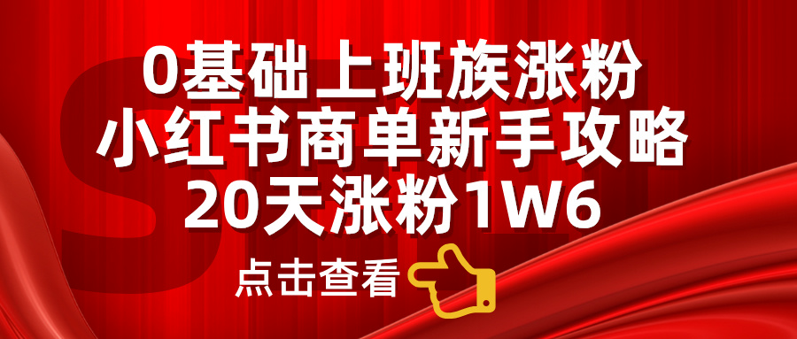 0基础上班族涨粉，小红书商单新手攻略，20天涨粉1.6w即刻搞钱-网创项目资源站-副业项目-创业项目-搞钱项目即刻搞钱