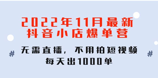 2022年11月最新抖音小店爆单训练营：无需直播，不用拍短视频，每天出1000单即刻搞钱-网创项目资源站-副业项目-创业项目-搞钱项目即刻搞钱