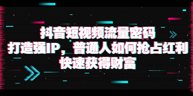 抖音短视频流量密码：打造强IP，普通人如何抢占红利，快速获得财富即刻搞钱-网创项目资源站-副业项目-创业项目-搞钱项目即刻搞钱