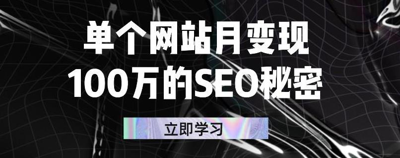 单个网站月变现100万的SEO秘密，百分百做出赚钱站点即刻搞钱-网创项目资源站-副业项目-创业项目-搞钱项目即刻搞钱