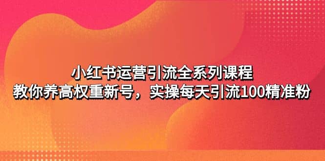 小红书运营引流全系列课程：教你养高权重新号即刻搞钱-网创项目资源站-副业项目-创业项目-搞钱项目即刻搞钱