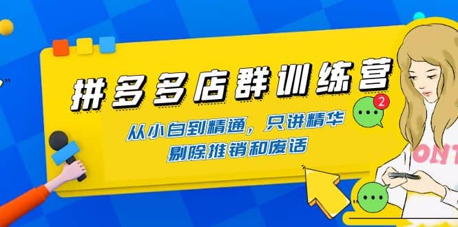 拼多多店群训练营：从小白到精通，只讲精华，剔除推销和废话即刻搞钱-网创项目资源站-副业项目-创业项目-搞钱项目即刻搞钱