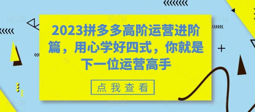 2023拼多多高阶运营进阶篇，用心学好四式，你就是下一位运营高手即刻搞钱-网创项目资源站-副业项目-创业项目-搞钱项目即刻搞钱