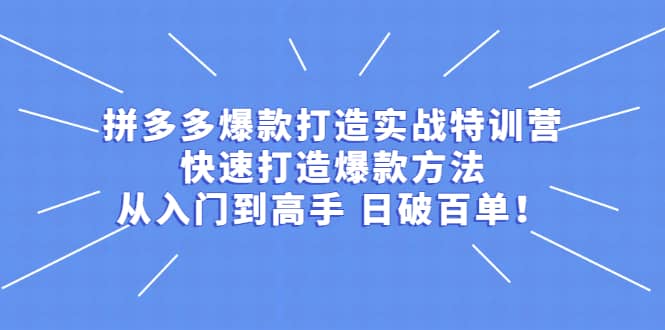 拼多多爆款打造实战特训营：快速打造爆款方法，从入门到高手 日破百单即刻搞钱-网创项目资源站-副业项目-创业项目-搞钱项目即刻搞钱
