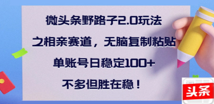 全网首发微头条野路子2.0玩法之相亲赛道，无脑搬砖复制粘贴，单账号日稳定300+保姆级教程即刻搞钱-网创项目资源站-副业项目-创业项目-搞钱项目即刻搞钱