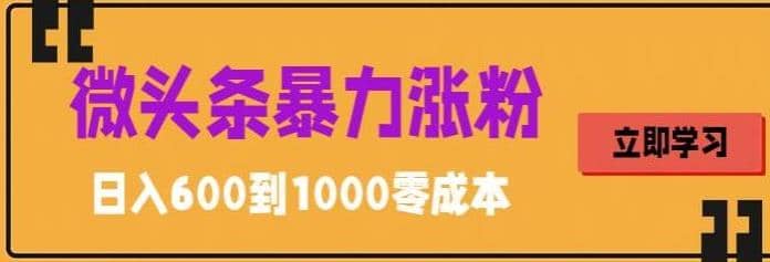 微头条暴力涨粉技巧搬运文案就能涨几万粉丝，简单0成本，日赚600即刻搞钱-网创项目资源站-副业项目-创业项目-搞钱项目即刻搞钱