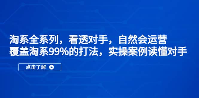 淘系全系列，看透对手，自然会运营，覆盖淘系99%·打法，实操案例读懂对手即刻搞钱-网创项目资源站-副业项目-创业项目-搞钱项目即刻搞钱