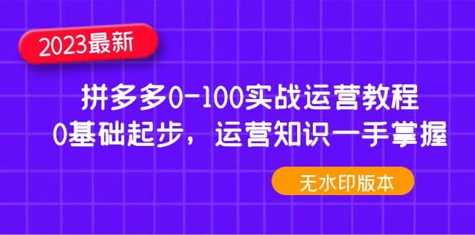 2023拼多多0-100实战运营教程，0基础起步，运营知识一手掌握（无水印）即刻搞钱-网创项目资源站-副业项目-创业项目-搞钱项目即刻搞钱