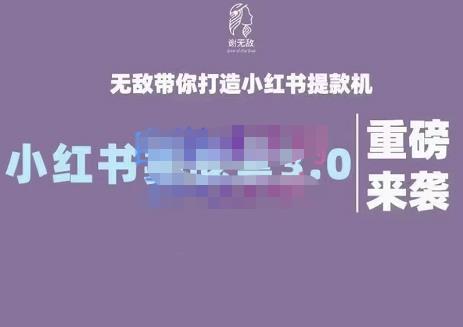 谢无敌·小红书实战营3.0，无敌带你打造小红书提款机 价值7999元即刻搞钱-网创项目资源站-副业项目-创业项目-搞钱项目即刻搞钱