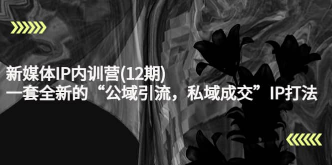 新媒体IP内训营(12期)，一套全新的“公域引流，私域成交”IP打法，直接带走即刻搞钱-网创项目资源站-副业项目-创业项目-搞钱项目即刻搞钱