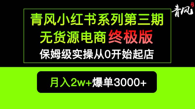 小红书无货源电商爆单终极版【视频教程+实战手册】保姆级实操从0起店爆单即刻搞钱-网创项目资源站-副业项目-创业项目-搞钱项目即刻搞钱
