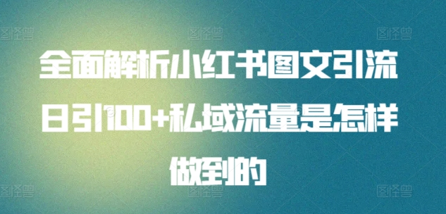 日引流100私域流量小红书图文是怎样做到的全面解析即刻搞钱-网创项目资源站-副业项目-创业项目-搞钱项目即刻搞钱
