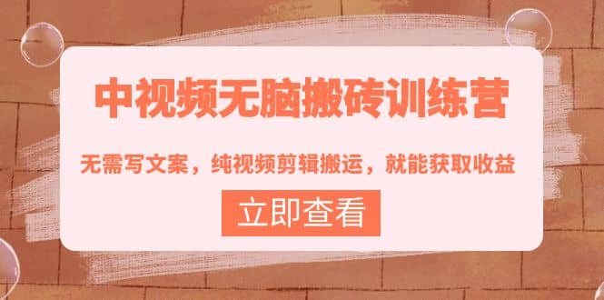 中视频无脑搬砖训练营：无需写文案，纯视频剪辑搬运，就能获取收益即刻搞钱-网创项目资源站-副业项目-创业项目-搞钱项目即刻搞钱