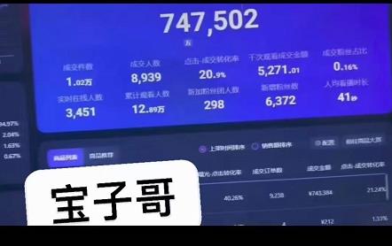 宝子哥无人直播，半无人直播，Obs+伴侣玩法，快速打标签+养鱼即刻搞钱-网创项目资源站-副业项目-创业项目-搞钱项目即刻搞钱