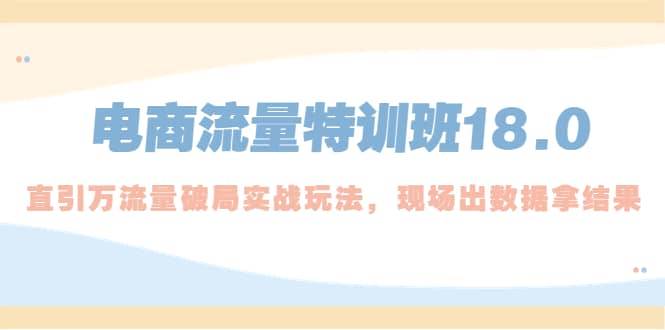 电商流量特训班18.0，直引万流量破局实操玩法，现场出数据拿结果即刻搞钱-网创项目资源站-副业项目-创业项目-搞钱项目即刻搞钱