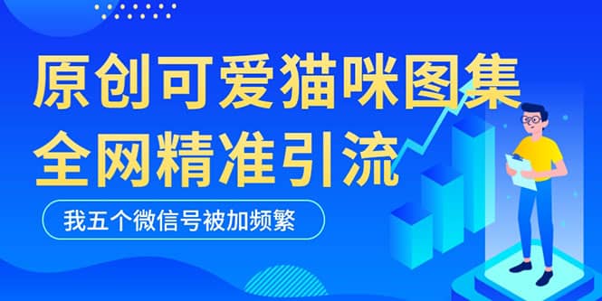 黑科技纯原创可爱猫咪图片，全网精准引流，实操5个VX号被加频繁即刻搞钱-网创项目资源站-副业项目-创业项目-搞钱项目即刻搞钱