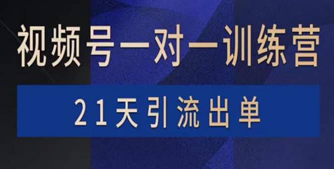 视频号训练营：带货，涨粉，直播，游戏，四大变现新方向，21天引流出单即刻搞钱-网创项目资源站-副业项目-创业项目-搞钱项目即刻搞钱