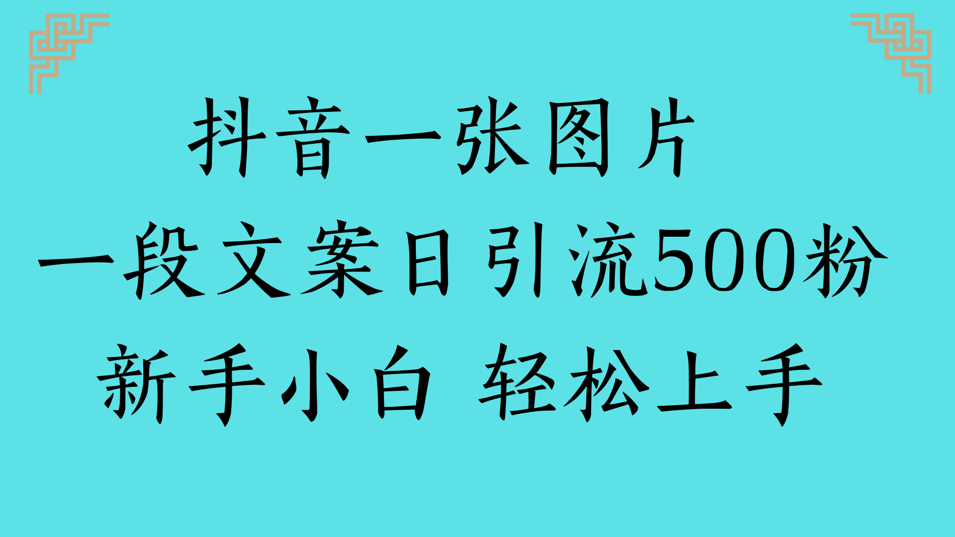 抖音一张图片 一段文案日引流500粉新手小白 轻松上手即刻搞钱-网创项目资源站-副业项目-创业项目-搞钱项目即刻搞钱
