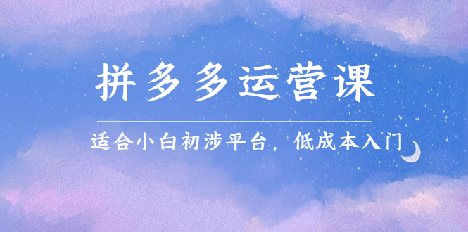 拼多多运营课，适合小白初涉平台，低成本入门即刻搞钱-网创项目资源站-副业项目-创业项目-搞钱项目即刻搞钱