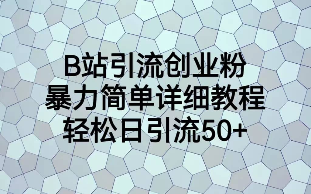 B站引流创业粉，暴力简单详细教程，轻松日引流50+即刻搞钱-网创项目资源站-副业项目-创业项目-搞钱项目即刻搞钱