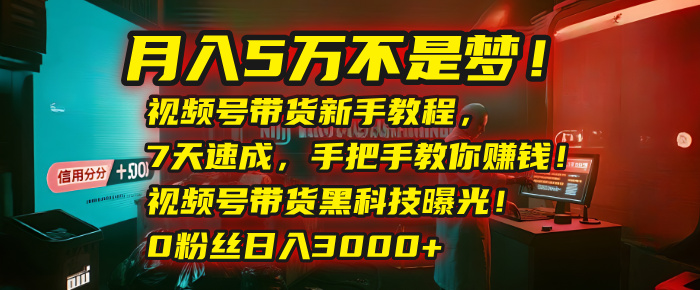 月入5万不是梦！视频号带货新手教程，7天速成，手把手教你赚钱！视频号带货黑科技曝光！0粉丝日入3000+即刻搞钱-网创项目资源站-副业项目-创业项目-搞钱项目即刻搞钱