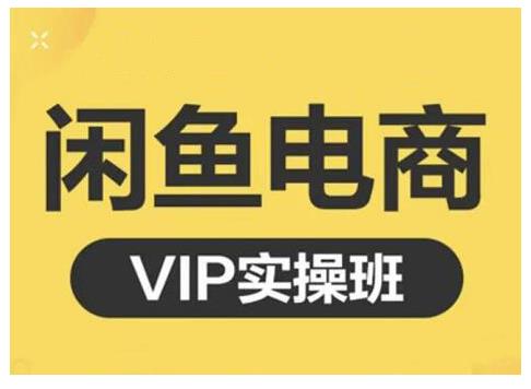 闲鱼电商零基础入门到进阶VIP实战课程，帮助你掌握闲鱼电商所需的各项技能即刻搞钱-网创项目资源站-副业项目-创业项目-搞钱项目即刻搞钱