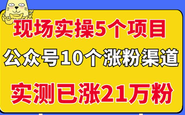 现场实操5个公众号项目，10个涨粉渠道，实测已涨21万粉！即刻搞钱-网创项目资源站-副业项目-创业项目-搞钱项目即刻搞钱