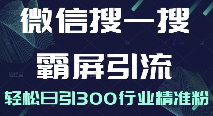 微信搜一搜霸屏引流课，打造被动精准引流系统，轻松日引300行业精准粉【无水印】即刻搞钱-网创项目资源站-副业项目-创业项目-搞钱项目即刻搞钱