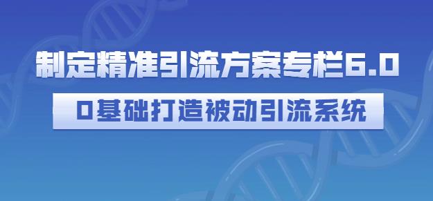 制定精准引流方案专栏6.0，0基础打造被动引流系统即刻搞钱-网创项目资源站-副业项目-创业项目-搞钱项目即刻搞钱