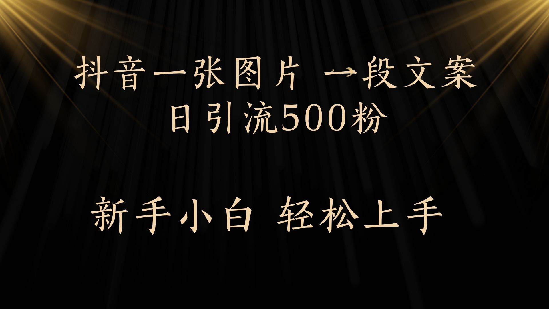 每天2分钟，抖音一张图片 一段文案日引流500粉即刻搞钱-网创项目资源站-副业项目-创业项目-搞钱项目即刻搞钱