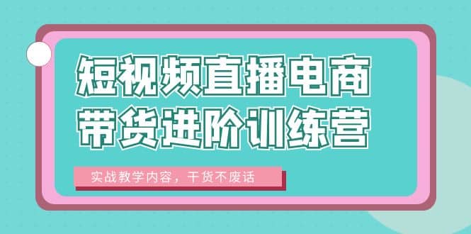 短视频直播电商带货进阶训练营：实战教学内容，干货不废话即刻搞钱-网创项目资源站-副业项目-创业项目-搞钱项目即刻搞钱