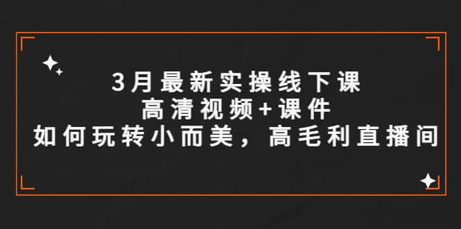 3月最新实操线下课高清视频+课件，如何玩转小而美，高毛利直播间即刻搞钱-网创项目资源站-副业项目-创业项目-搞钱项目即刻搞钱