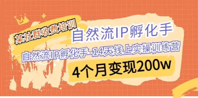 某社群收费培训：自然流IP 孵化手-14天线上实操训练营 4个月变现200w即刻搞钱-网创项目资源站-副业项目-创业项目-搞钱项目即刻搞钱
