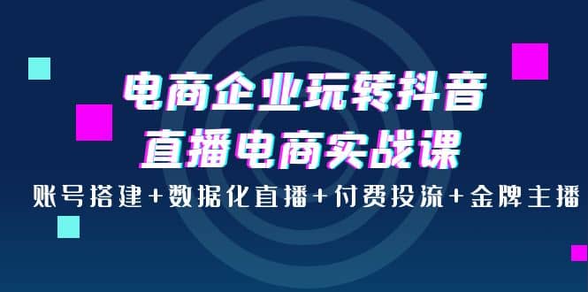 电商企业玩转抖音直播电商实战课：账号搭建+数据化直播+付费投流+金牌主播即刻搞钱-网创项目资源站-副业项目-创业项目-搞钱项目即刻搞钱