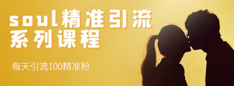 soul精准引流系列课程，每天引流100精准粉即刻搞钱-网创项目资源站-副业项目-创业项目-搞钱项目即刻搞钱