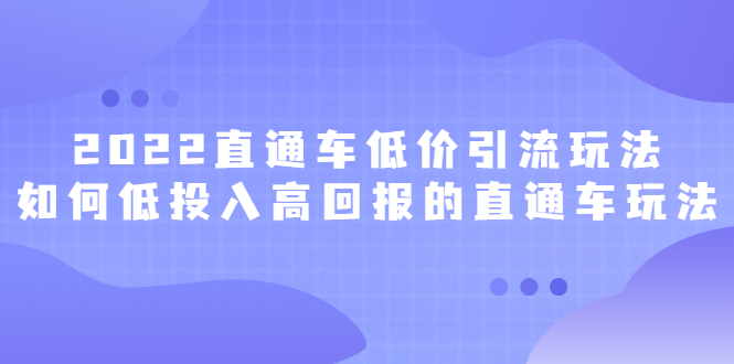 2022直通车低价引流玩法，教大家如何低投入高回报的直通车玩法即刻搞钱-网创项目资源站-副业项目-创业项目-搞钱项目即刻搞钱