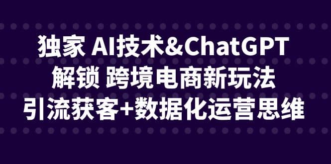 独家 AI技术ChatGPT解锁 跨境电商新玩法，引流获客+数据化运营思维即刻搞钱-网创项目资源站-副业项目-创业项目-搞钱项目即刻搞钱