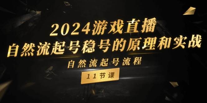 2024游戏直播-自然流起号稳号的原理和实战，自然流起号流程（11节）即刻搞钱-网创项目资源站-副业项目-创业项目-搞钱项目即刻搞钱
