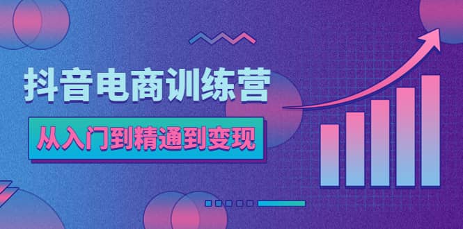 抖音电商训练营：从入门到精通，从账号定位到流量变现，抖店运营实操即刻搞钱-网创项目资源站-副业项目-创业项目-搞钱项目即刻搞钱