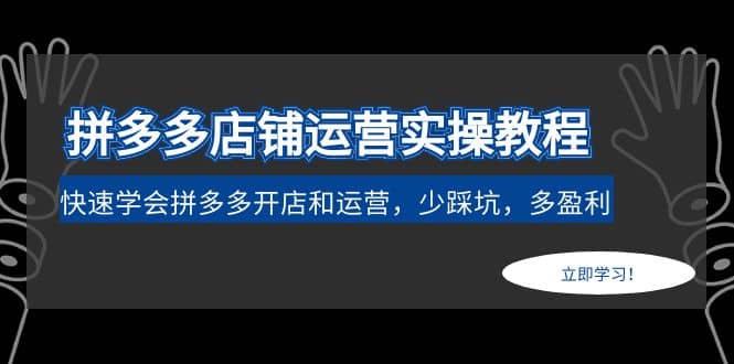 拼多多店铺运营实操教程：快速学会拼多多开店和运营，少踩坑，多盈利即刻搞钱-网创项目资源站-副业项目-创业项目-搞钱项目即刻搞钱