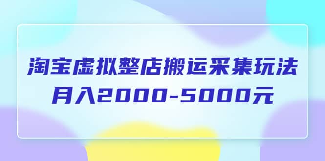 淘宝虚拟整店搬运采集玩法分享课：月入2000-5000元（5节课）即刻搞钱-网创项目资源站-副业项目-创业项目-搞钱项目即刻搞钱