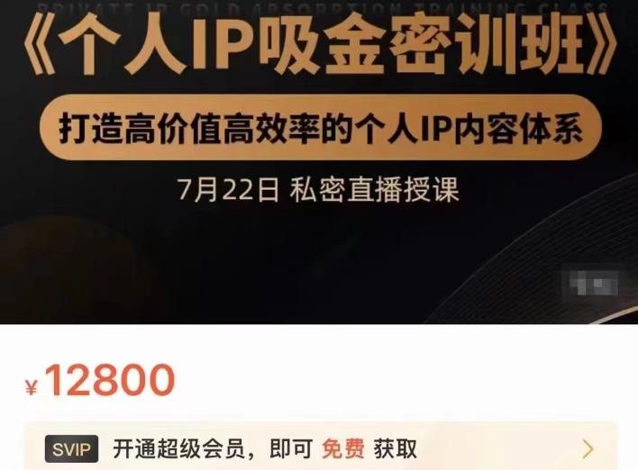 个人IP吸金密训班，打造高价值高效率的个人IP内容体系（价值12800元）即刻搞钱-网创项目资源站-副业项目-创业项目-搞钱项目即刻搞钱