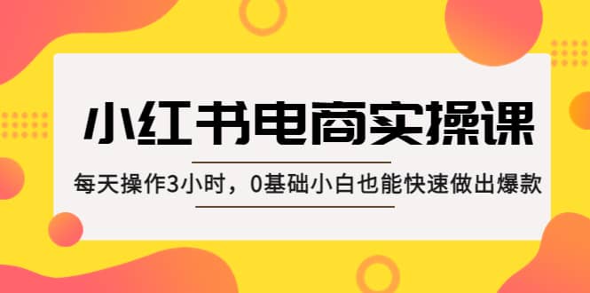 小红书·电商实操课：每天操作3小时，0基础小白也能快速做出爆款即刻搞钱-网创项目资源站-副业项目-创业项目-搞钱项目即刻搞钱
